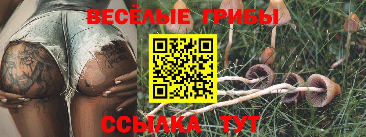 Барнаул  Галлюциногенные грибы Psilocybe  Галлюциногенные грибы Psilocybe  Вход с VPN 